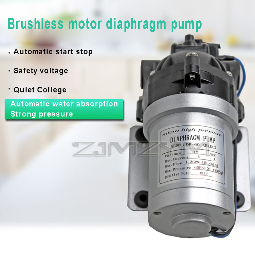 Mini Peristaltic Pump 12V - Borstelloze Dc Hogedruk Waterpomp DP-60 12V/24V
