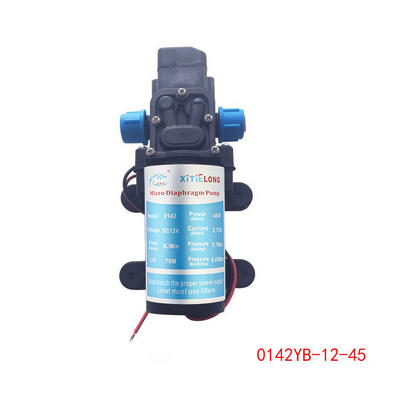 45W Zelfaanzuigende Spuitpomp  - Mini Peristaltic Pump 12V recensie en prijs