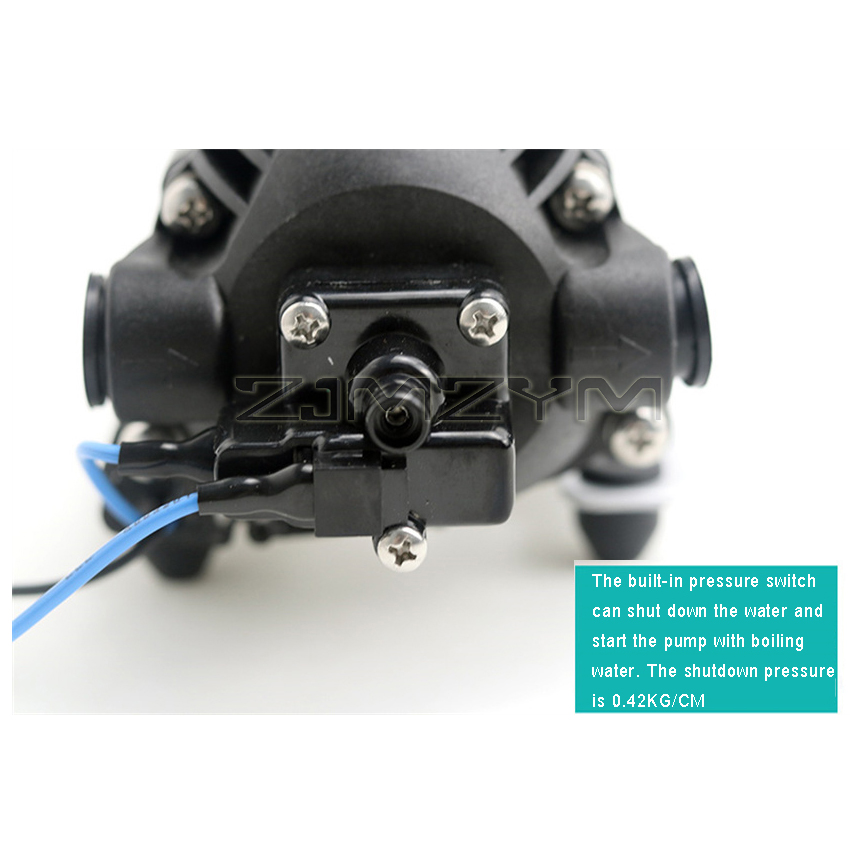 Borstelloze Dc Hogedruk Waterp - Mini Peristaltic Pump 12V recensie en prijs